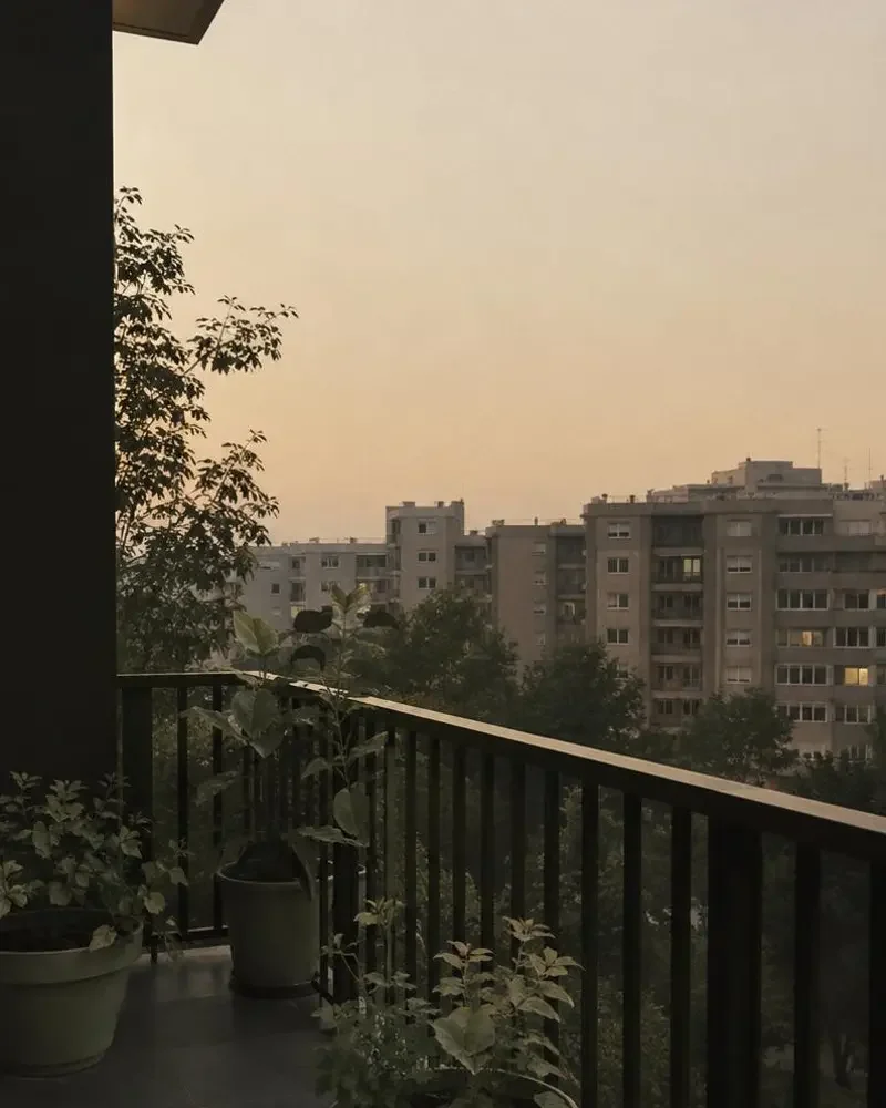 阳台八分钟 封面图，一镜到底，8 分钟