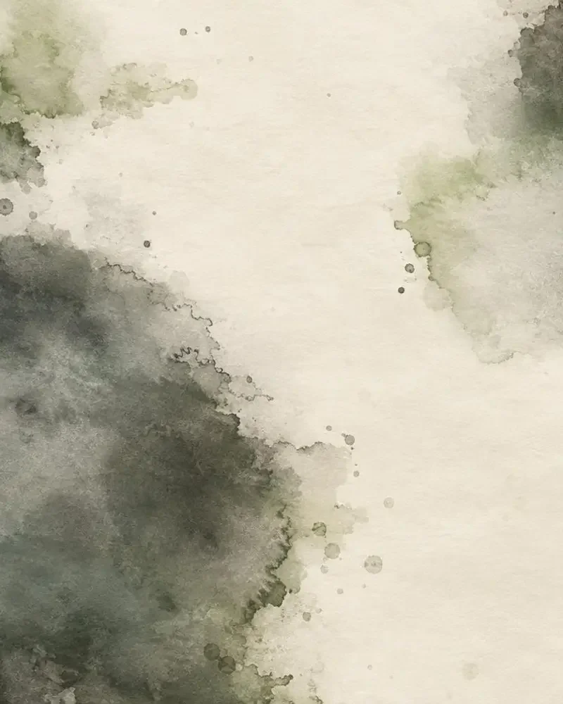 墨与雨 竖版海报，实验影像
